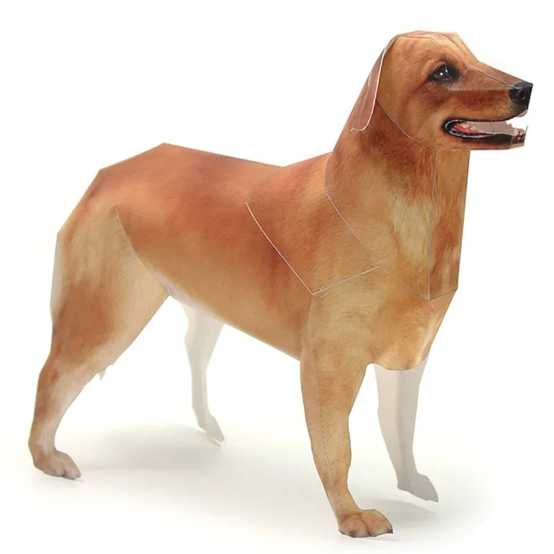 โมเดลกระดาษสุนัขโกลเด้นรีทรีฟเ - Kids Toys Dog บทวิจารณ์และราคา